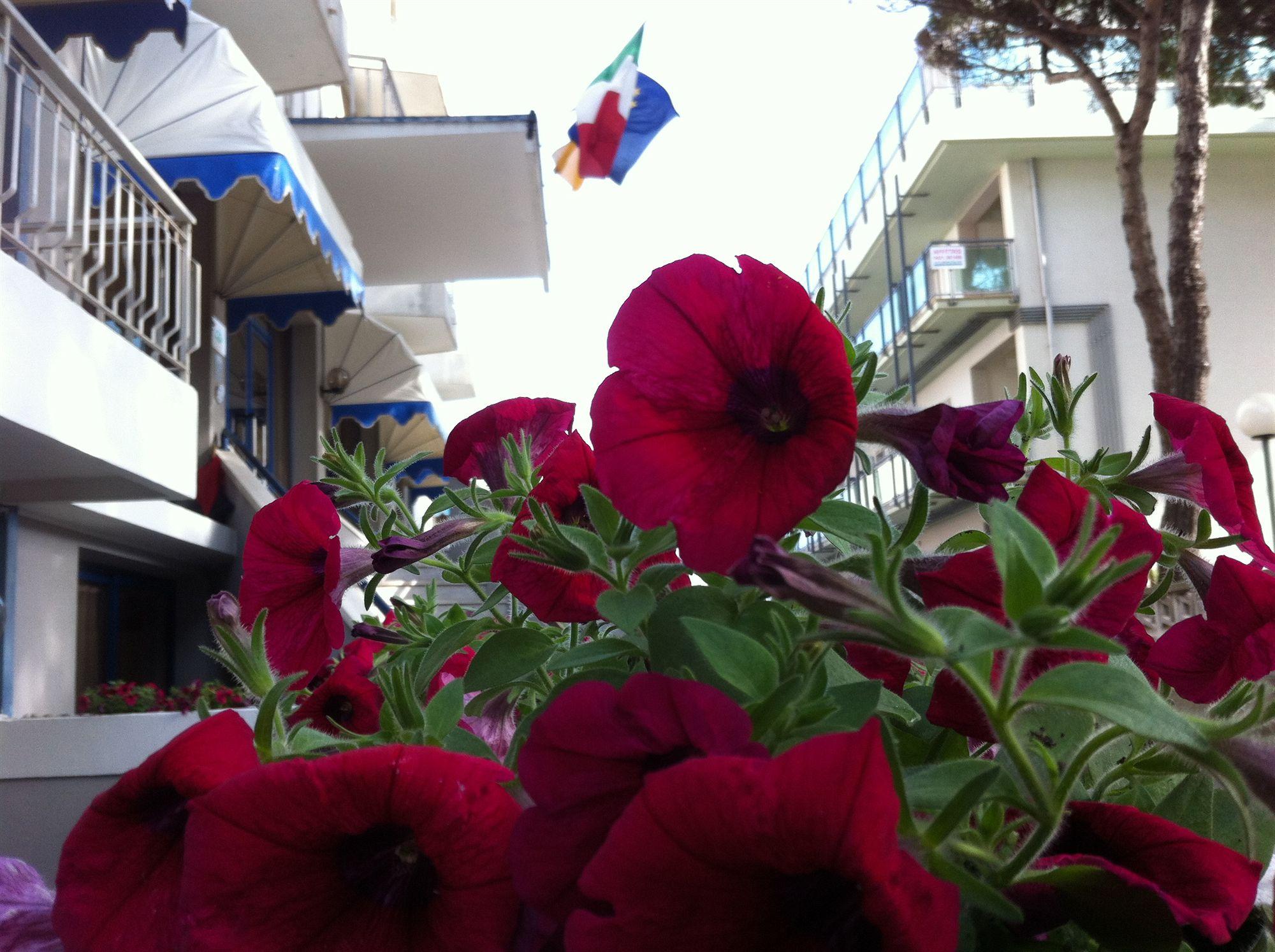 Hotel Umberto Lido di Jesolo Dış mekan fotoğraf