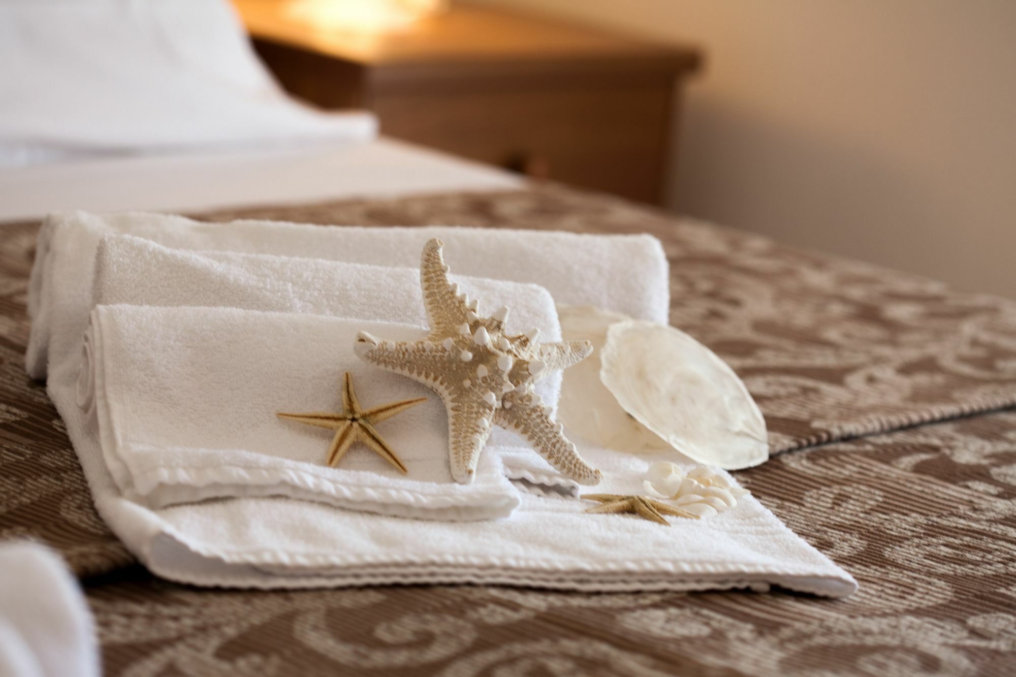 Hotel Umberto Lido di Jesolo Dış mekan fotoğraf